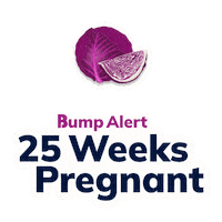 Pregnancy Expecting Sticker by The Bump