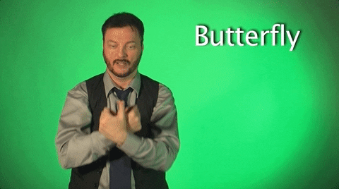 sign language butterfly GIF by Sign with Robert