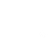 Bee Sticker