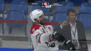 Championsgobeyond Donetsk GIF by Champions Hockey League