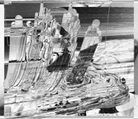 GIF by A.M.T.G. G.G.