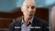 season 2 starz GIF by Blunt Talk
