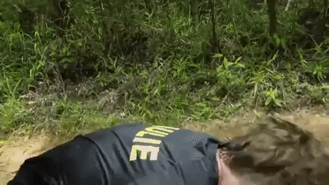 spillitsister giphygifmaker mtv the challenge paulie GIF