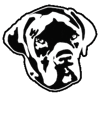 Ryourogue Sticker by Rogue Fitness