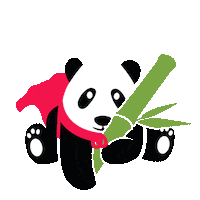 gopandoo hero panda bamboo nachhaltig Sticker