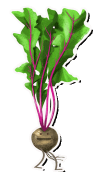 Leaves Vegetable Sticker by Knorr South Africa