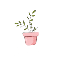 somogyiteklart  GIF