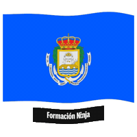 San Fernando Flag Sticker by Formación Ninja