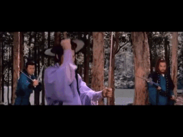 lo lieh GIF by Shaw Brothers