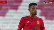 Sl Benfica Shrug GIF by Sport Lisboa e Benfica