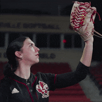 Softball GIF by Louisville Cardinals