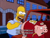 homer simpson episode 3 GIF