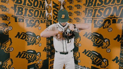 Baseball Bison GIF by NDSU Athletics
