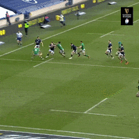 Chris Harris Rugby GIF by Guinness Six Nations