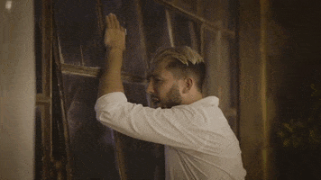 GIF by Frankie Zulferino