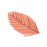 Fall Autumn Sticker by Miss Tomorrow VA