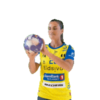 Storhamar Rema1000Ligaen Sticker by Norsk Topphåndball