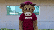 csudhteddytoro upset disappointed face palm csudh GIF