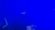 on my way tiÃÂ«sto GIF by Tiësto