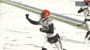 Nfl Playoffs Football GIF by NFL