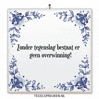 Nl Wijsheid GIF by Tegelspreuken.nl