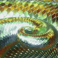 Snake Spiral GIF by Feliks Tomasz Konczakowski