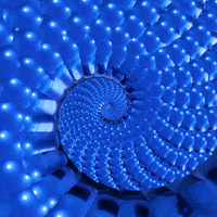 Snake Spiral GIF by Feliks Tomasz Konczakowski