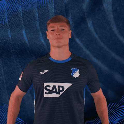 Sport Bundesliga GIF by TSG Hoffenheim
