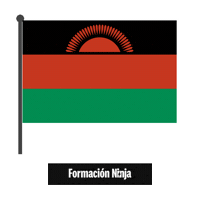 Flag Bandera Sticker by Formación Ninja