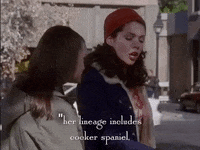 season 1 netflix GIF by Gilmore Girls 