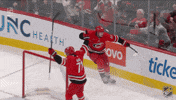 Happy Carolina Hurricanes GIF by NHL