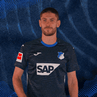 Andrej Kramaric Sport GIF by TSG Hoffenheim