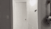 Scary Movie Dancing GIF by The Frst
