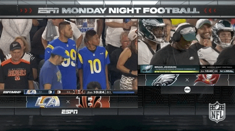 National Football League GIF by NFL
