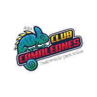 Chameleon Sticker by Taekwondo Camaleones