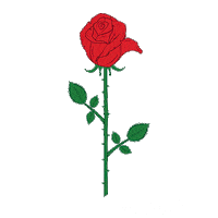 Flower Rose Sticker by Raggedytiff