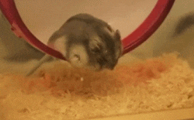 nap time GIF