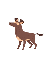 Mytikah dog cachorro mytikah doguinho Sticker