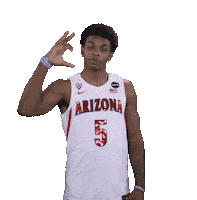 Justin Wildcats Sticker by Arizona Men's Basketball