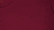 College Baseball GIF by Pearl River Athletics