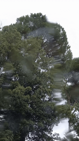 Simongip giphygifmaker GIF