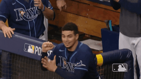 Major League Baseball Sport GIF by MLB