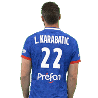 Luka Karabatic Ffhandball Sticker by Fédération Française de Handball