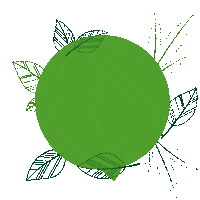 News Leaves Sticker by Hoklartherm Gmbh