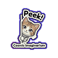 Sorry Hide And Seek Sticker