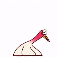 Angry Colo GIF