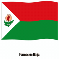 Bandera Granada GIF by Formación Ninja