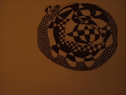 GIF by ellaknor