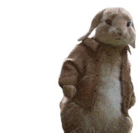 Oh No Bunny Sticker by Peter Rabbit Movie