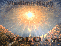 You Only Live Once Sun GIF by Yolo Rum